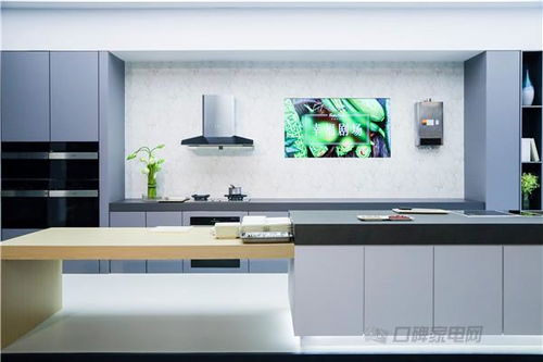 方太戰(zhàn)略升維 以共振創(chuàng)新打造廚電新生態(tài)，引領(lǐng)廚房的專業(yè)設(shè)計(jì)